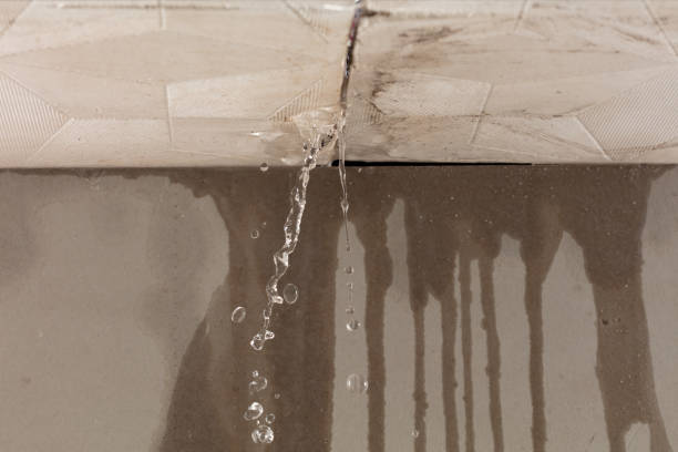 Professional Burst Pipe Cleanup technician working in Kensington, CA